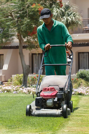 male gardener mowing lawn in Oshawa, ON