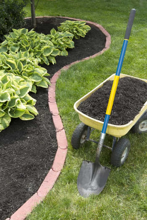 mulch bed with edging