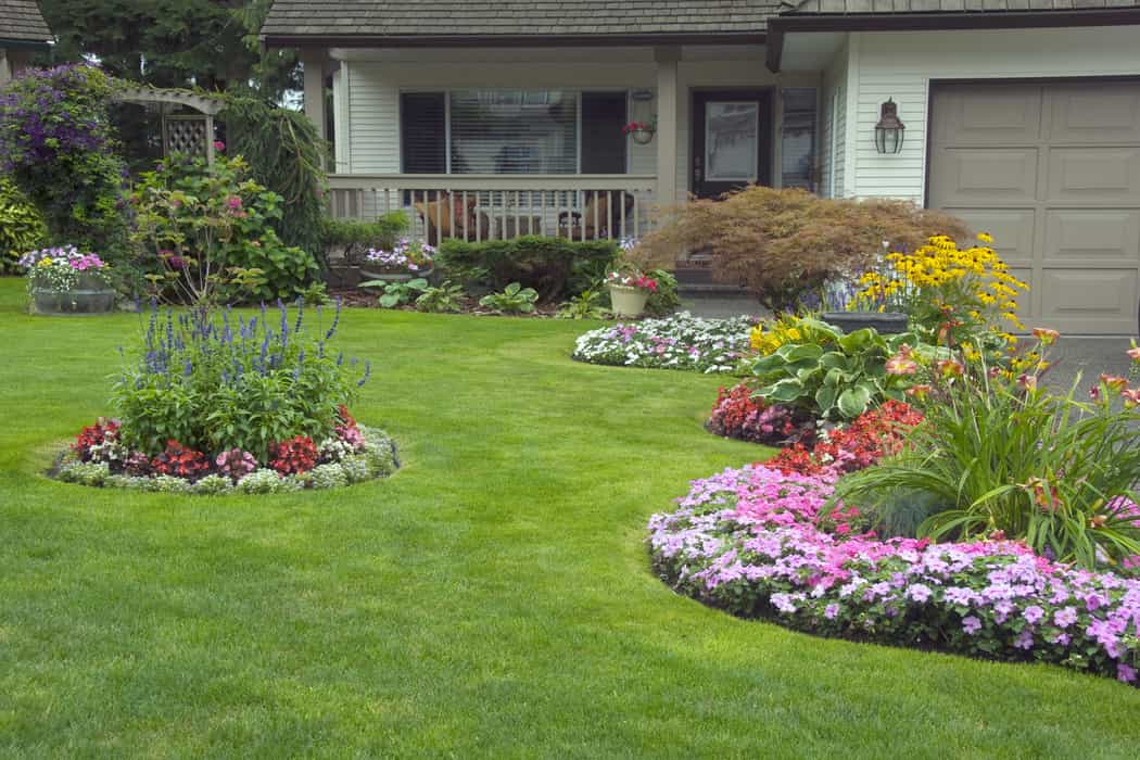 manicured lawn and garden