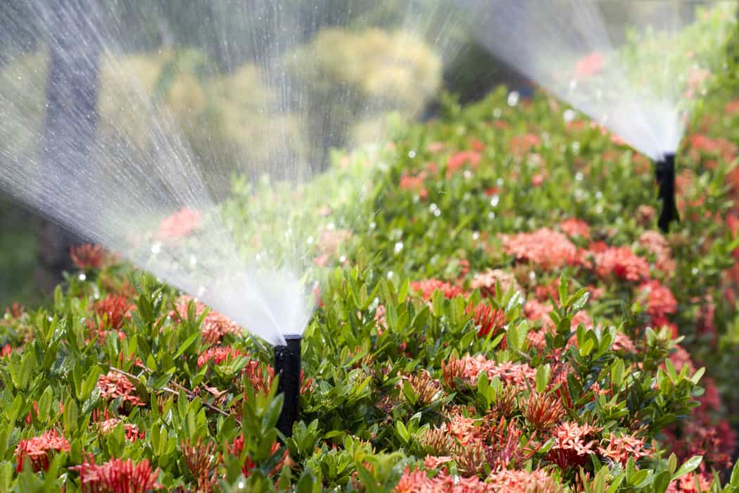 sprinklers watering garden